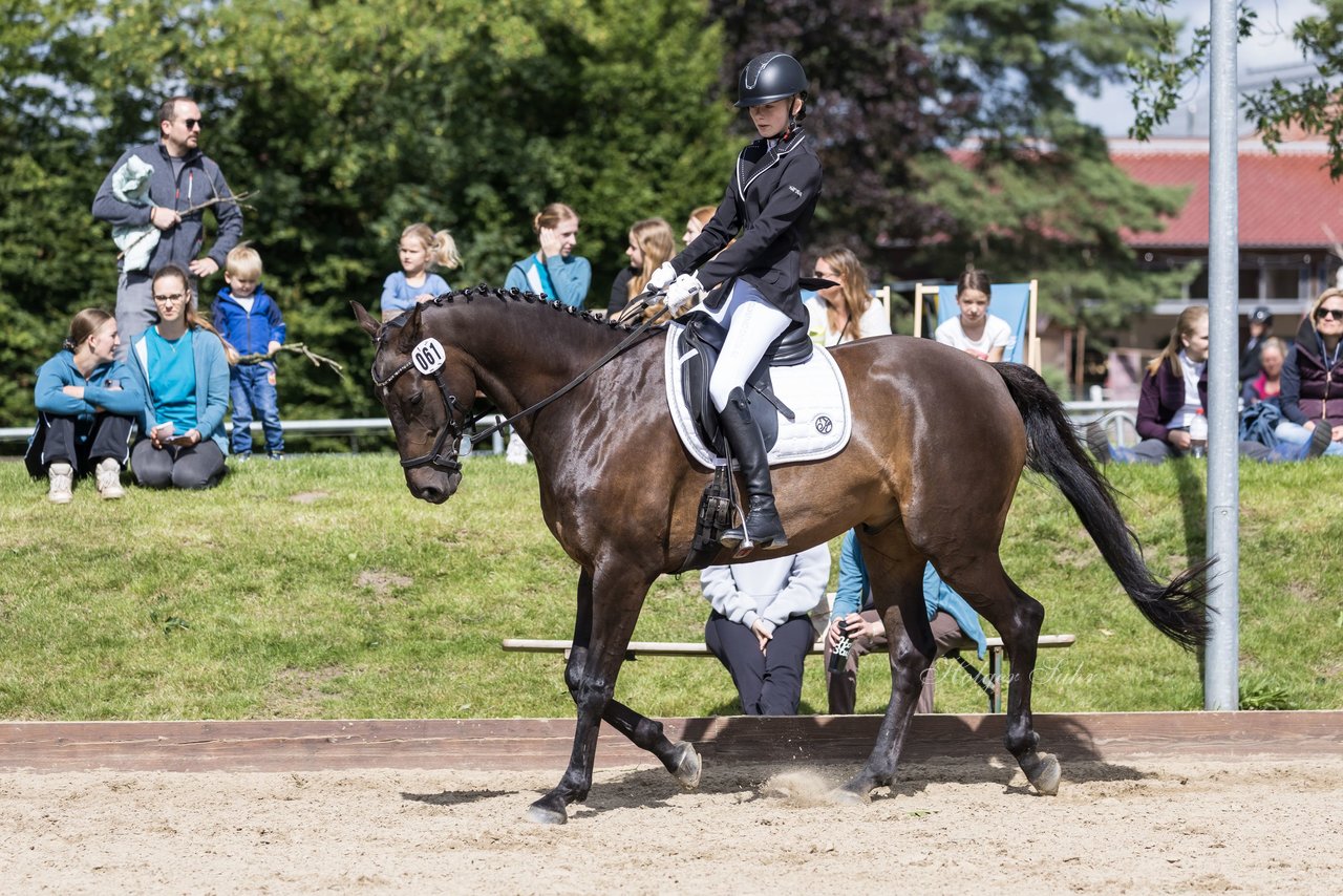 Bild 683 - Pony Akademie Turnier